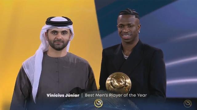 1735341884356082713.jpg 维尼修斯.jpg